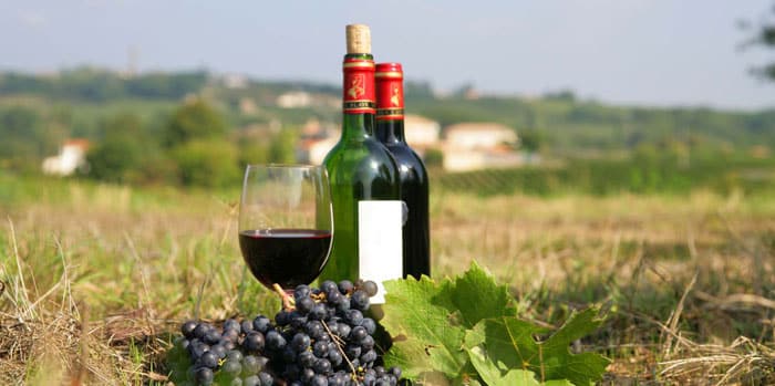 ไวน์ฝรั่งเศส แนะนำ ในรูปแบบตามเขตที่ผลิต